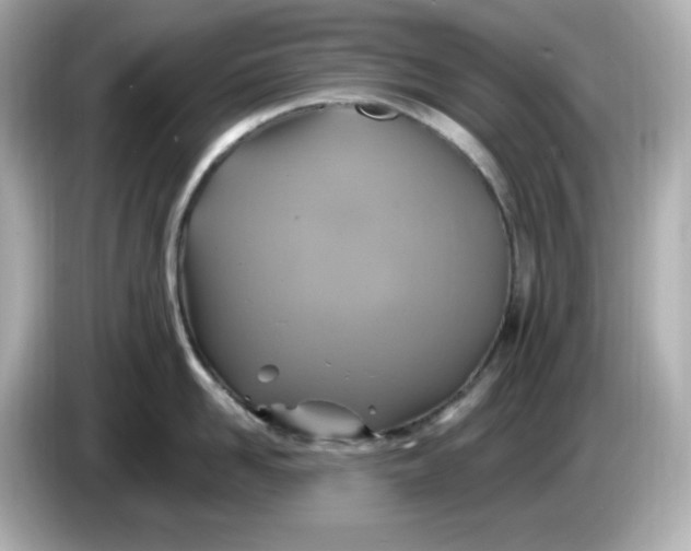 X0000086020958200704091111
