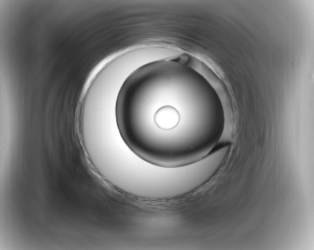 X0000086020960200704091111