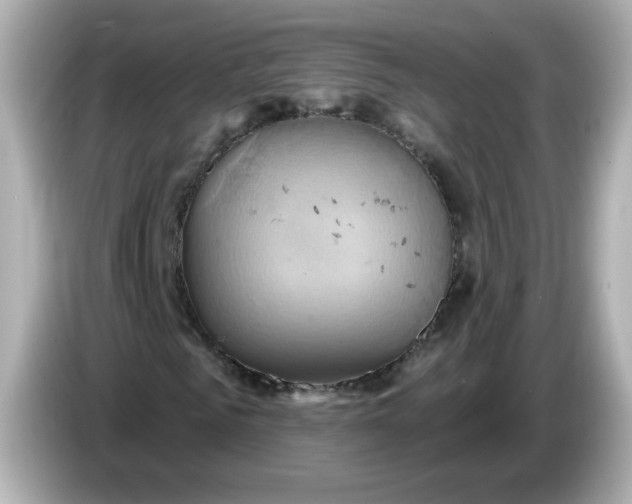 X0000086020961200704091111