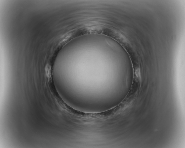 X0000086020963200704091111
