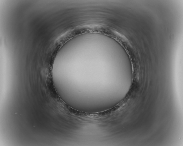 X0000086020966200704091111