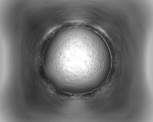 X0000086020967200704091111