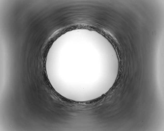 X0000086020968200704091111