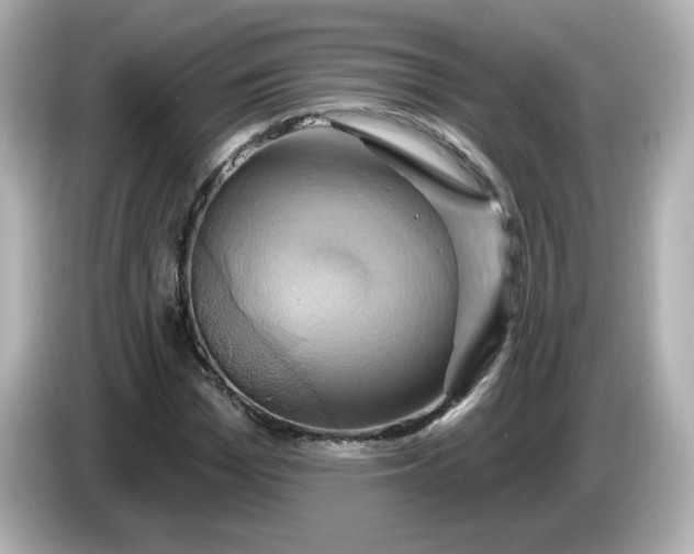X0000086020969200704091111