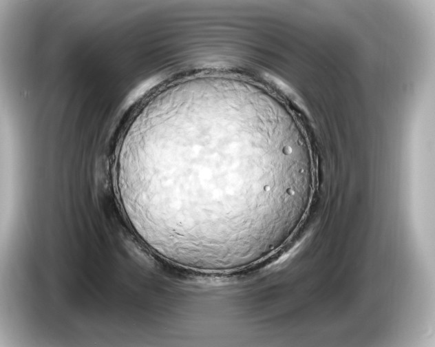 X0000086020970200704091111