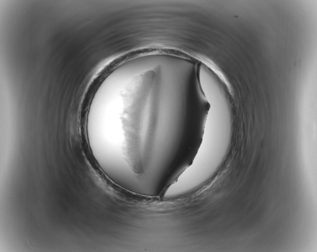 X0000086020972200704091110
