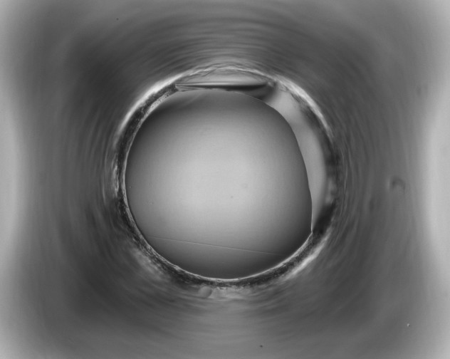 X0000086020973200704091110
