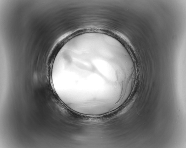 X0000086020974200704091110