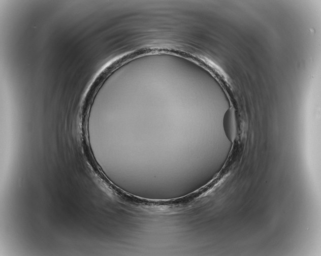 X0000086020976200704091110