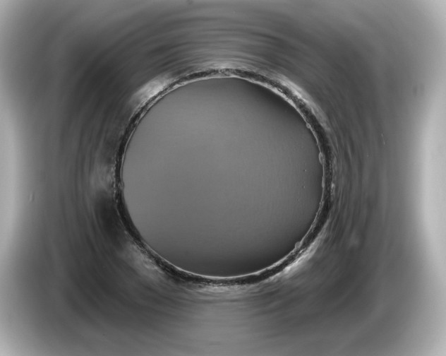 X0000086020977200704091110