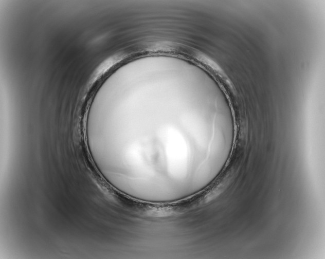 X0000086020978200704091110