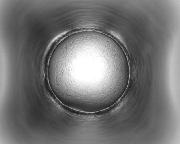 X0000086020979200704091110