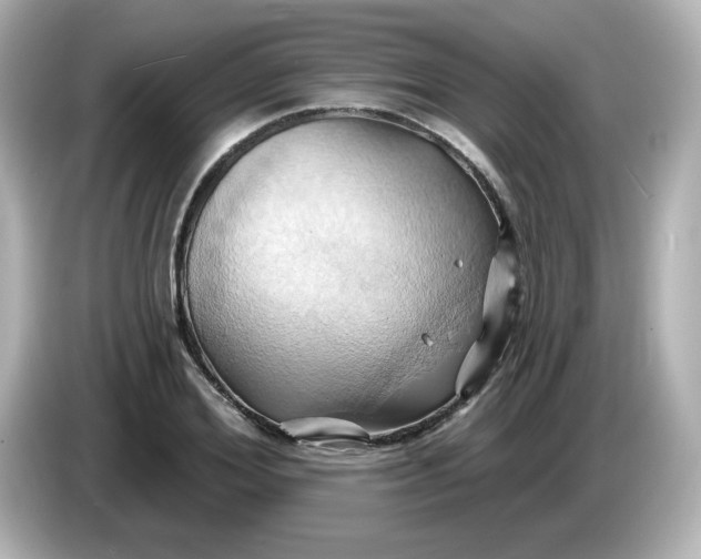 X0000086020980200704091110