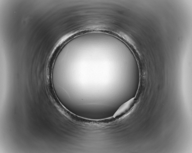 X0000086020981200704091110