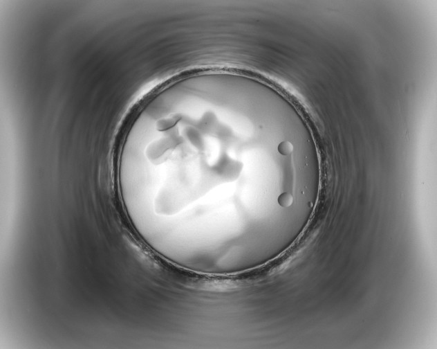 X0000086020982200704091110