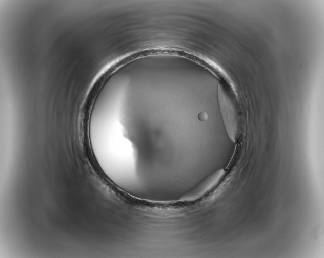 X0000086020983200704091110