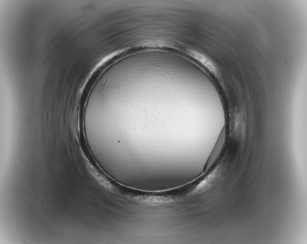 X0000086020984200704091110