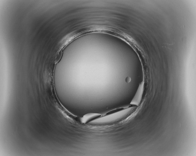X0000086020985200704091110