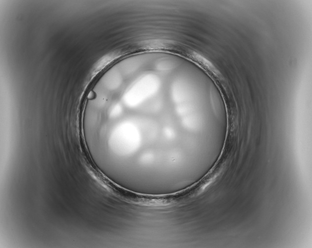 X0000086020986200704091110