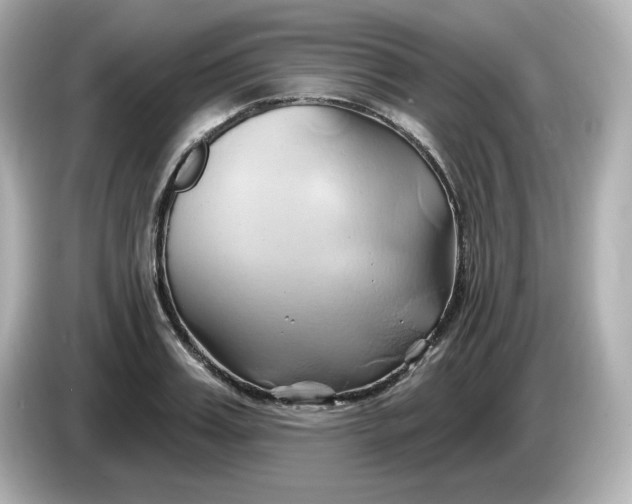 X0000086020987200704091110