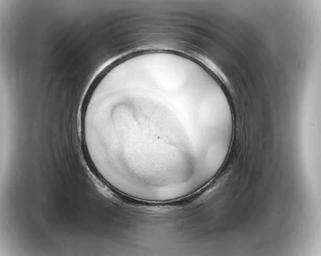 X0000086020988200704091110