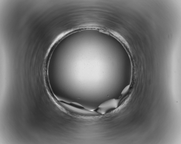 X0000086020989200704091110