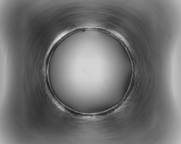 X0000086020990200704091110