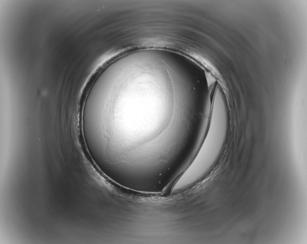 X0000086020992200704091110