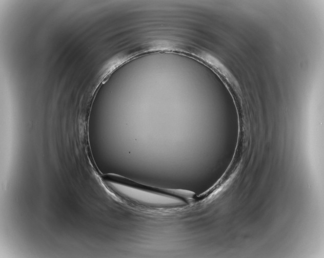 X0000086020993200704091110