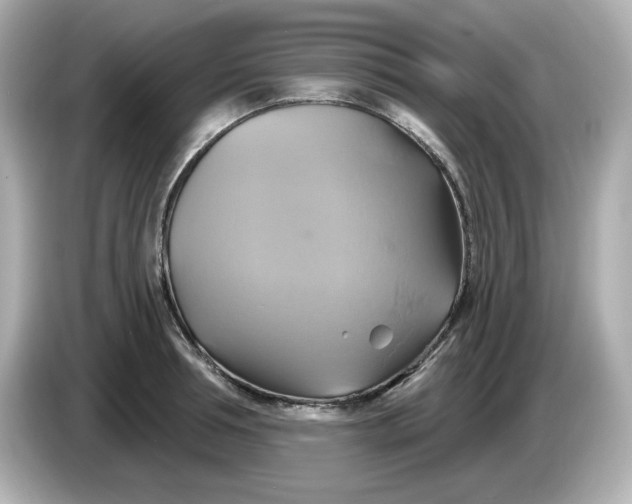 X0000086020994200704091110