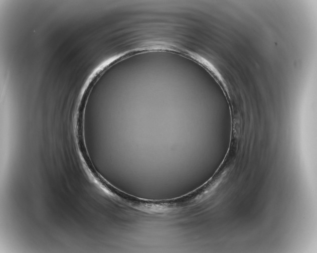 X0000086020995200704091110
