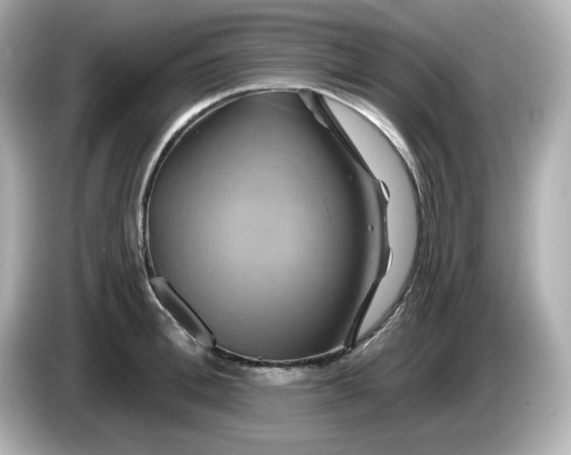 X0000086020996200704091110