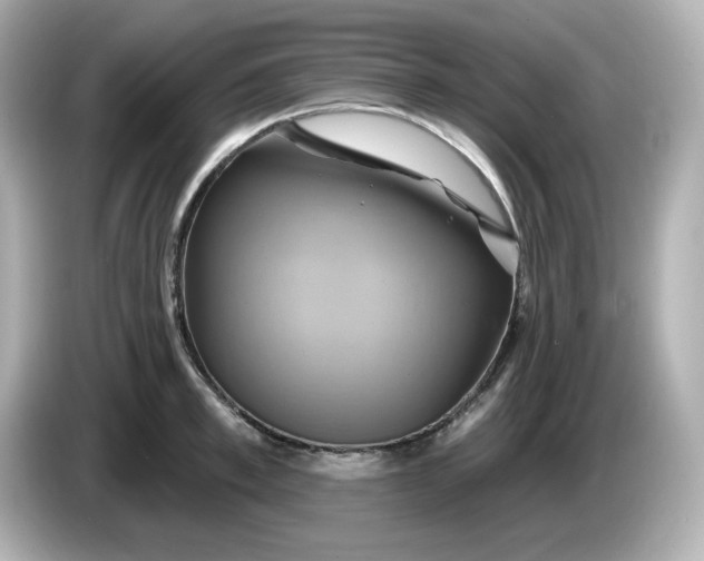 X0000086020997200704091110