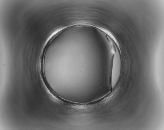 X0000086020999200704091110