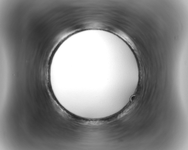 X0000086021000200704091110