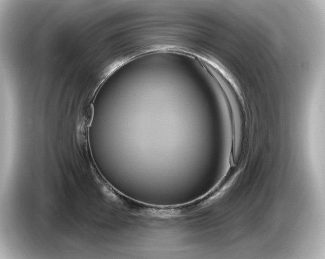X0000086021001200704091110