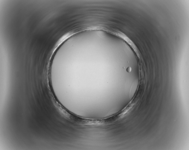 X0000086021002200704091110