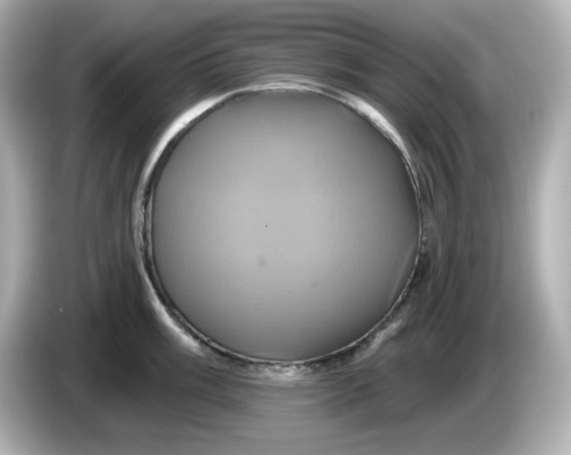 X0000086021003200704091110