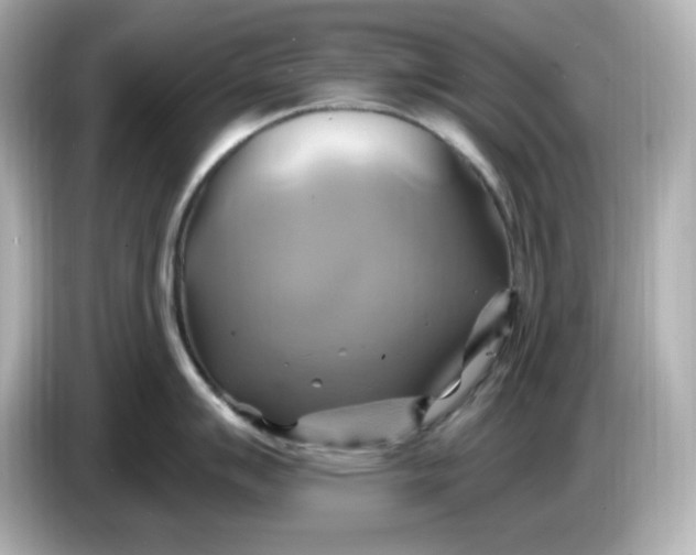 X0000086021007200704091110