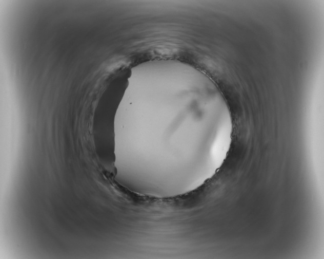 X0000086021009200704091110