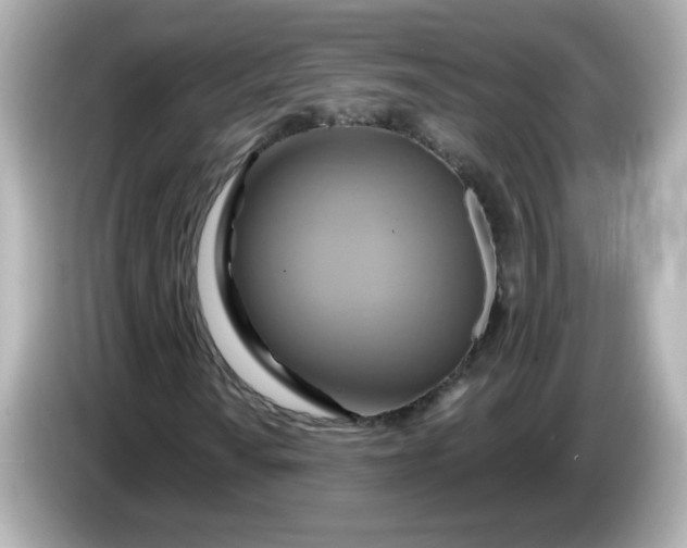 X0000086021010200704091110