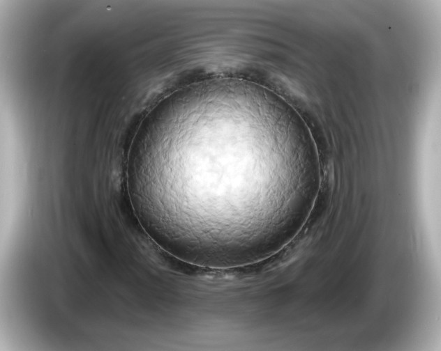 X0000086021012200704091110