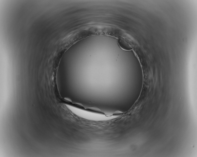 X0000086021013200704091110