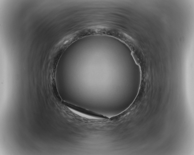 X0000086021014200704091110