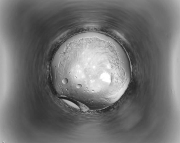 X0000086021015200704091110