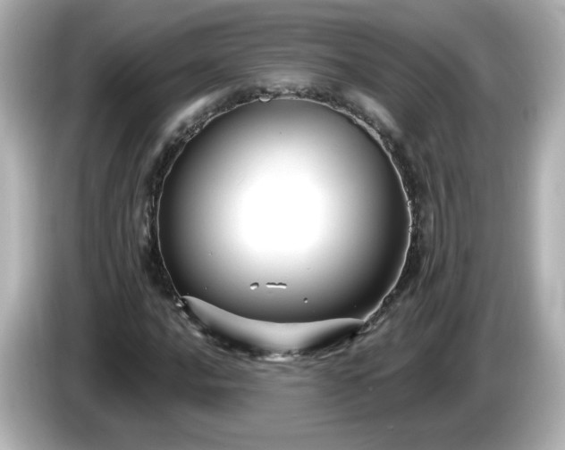 X0000086021016200704091110