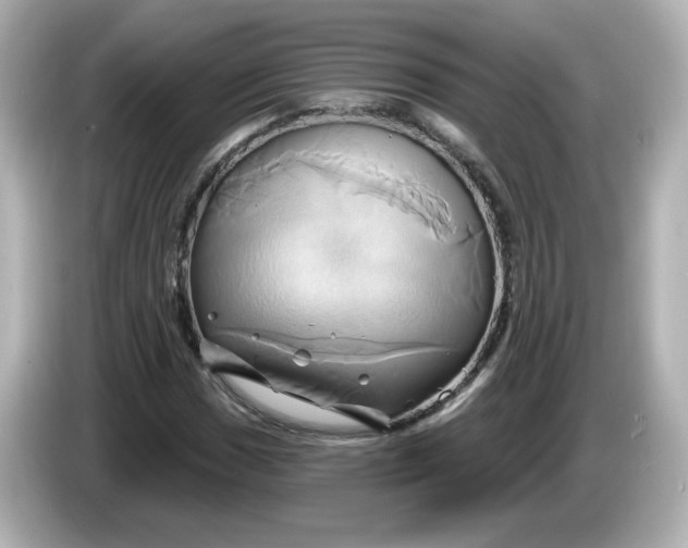 X0000086021017200704091110