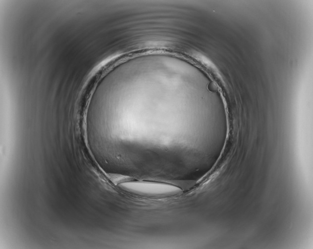 X0000086021019200704091110