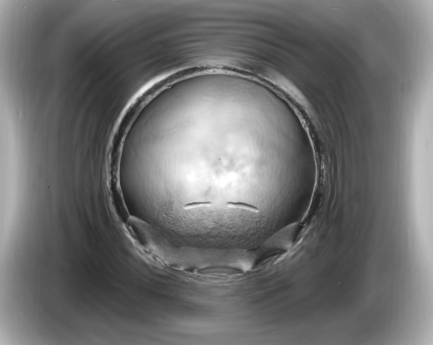 X0000086021020200704091110