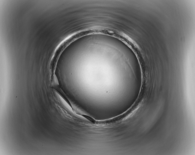 X0000086021021200704091110
